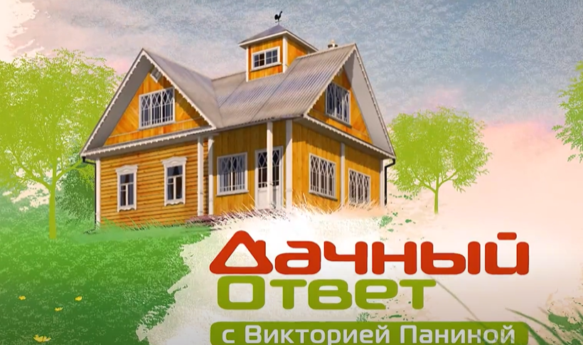 Кадр из выпуска Под крылом синей птицы